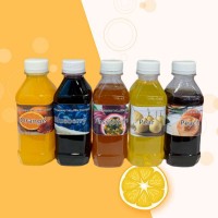 Hot sale fruit concentrate drink